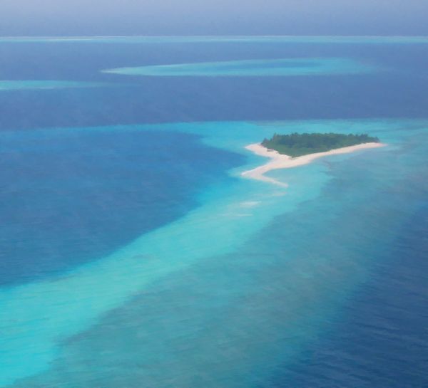 Maldives Diving Experience